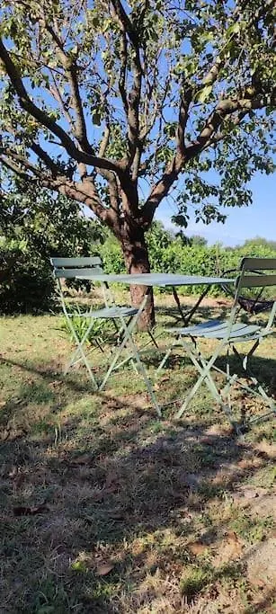 Mas Du Vieux Moulin Villa Serignan-du-Comtat Holiday home